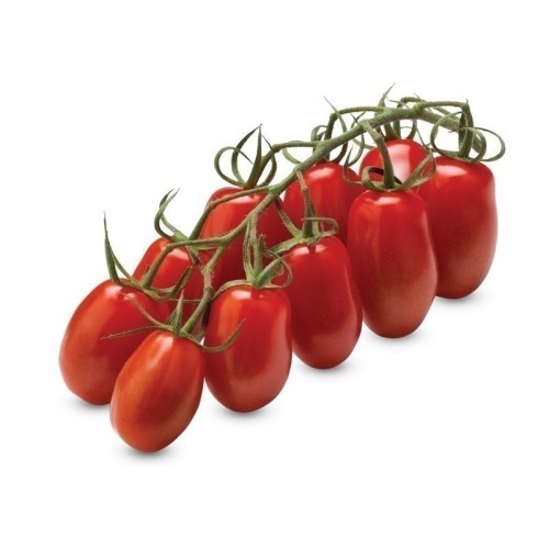 Tomate mini San Marzano BE (par 100gr)