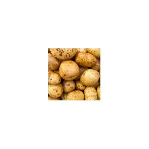 PDT Sevilla NL (par 100gr)