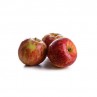 Pomme Jonagored - Verger de la Vallée Hanrêt (par 100gr)