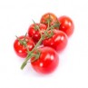 Tomate Grappe Roterno BE (par 100gr)