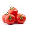 Tomate BE (par 100gr)
